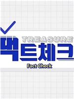 TREASURE Fact Check在线观看