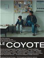 Le Coyote