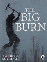 American Experience: The Big Burn