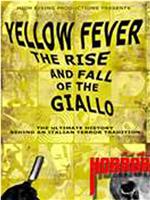 黄色狂热：铅黄电影的兴衰
