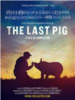 The Last Pig