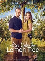 Love Under the Lemon Tree在线观看