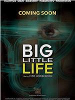 Big Little Life在线观看