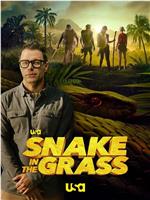 Snake in the Grass Season 1在线观看