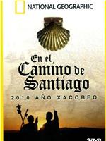 On the Camino de Santiago在线观看