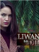 Liwanag sa dilim