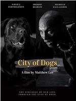 City of Dogs