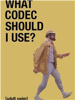 WHAT CODEC SHOULD I USE?在线观看