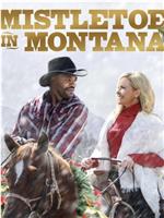 Mistletoe in Montana在线观看
