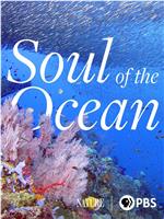 Soul of the Ocean在线观看