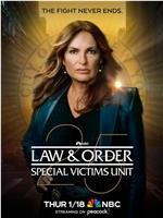 法律与秩序：特殊受害者 第二十五季在线观看