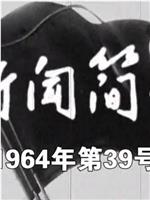 新闻简报1964年第39号