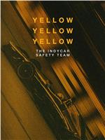 Yellow Yellow Yellow: The Indycar Safety Team在线观看