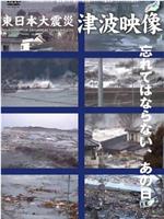 東日本大震災 津波映像