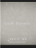 迷失森林在线观看