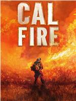 Cal Fire Season 1