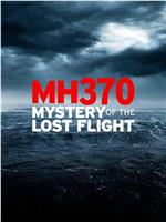 MH370：消失的航班