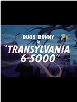 Transylvania 6-5000