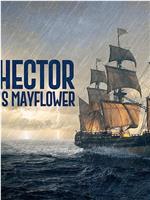 The Hector: Canada's Mayflower在线观看
