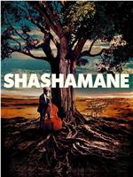 Shashamane