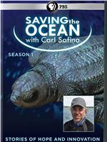 Saving the Ocean with Carl Safina Season 1在线观看