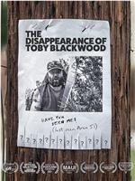 The Disappearance of Toby Blackwood在线观看