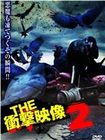 THE 冲击映像2