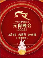 中央广播电视总台2023年元宵晚会在线观看