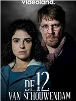 De 12 van Schouwendam Season 1在线观看