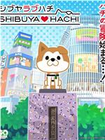 SHIBUYA♡HACHI在线观看