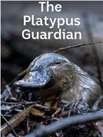 The Platypus Guardian在线观看