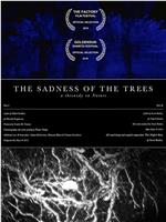 The Sadness of Trees在线观看