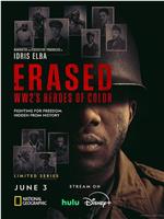 Erased: WW2's Heroes of Color Season 1在线观看