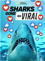 Sharks Gone Viral在线观看