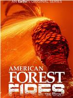 American Forest Fires: The Untold Story Season 1在线观看