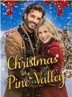 Christmas in Pine Valley在线观看