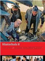 Hinterholz 8