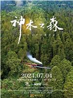 神木之森：阿里山森林铁道纪行在线观看