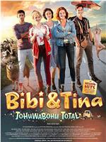 Bibi & Tina: Tohuwabohu total