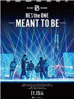 BE:the ONE -MEANT TO BE-