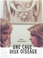 Une cage deux oiseaux