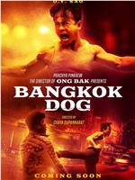 Bangkok Dog