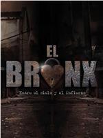 El Bronx: Entre el cielo y el infierno Season 1在线观看