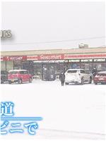 ドキュメント72時間：冬の北海道 村のコンビニで在线观看