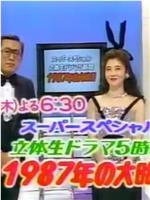 立体ドラマ５時間 1987年の大晦日在线观看