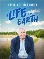 David Attenborough: A Life on Earth