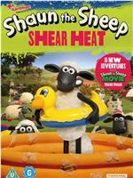 Shaun the Sheep: Shear Heat