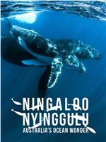 Ningaloo: Australia's Ocean Wonder Season 1