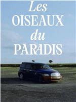 Les oiseaux du paradis