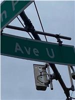 Ave U